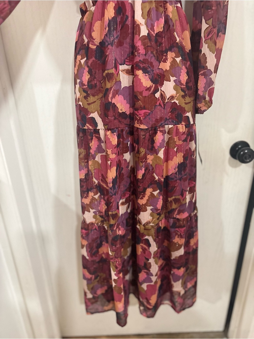 sofia by sofia vergara Burgundy and Pink Floral Maxi Dress - Picture 5 of 8